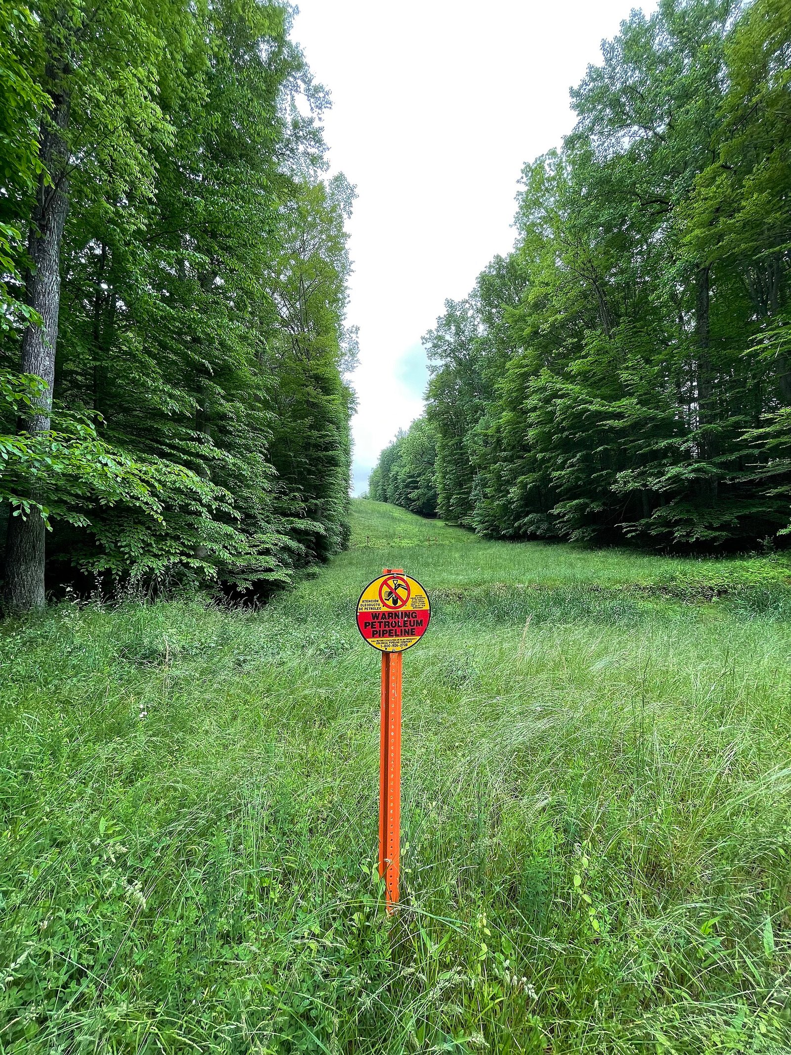 Colonial Pipeline marker in a cleared right-of-way
