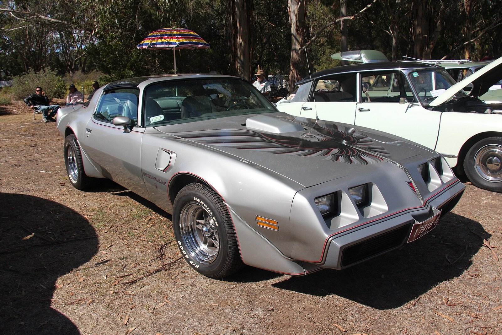 Pontiac Trans Am 10th Anniversary del 1979
