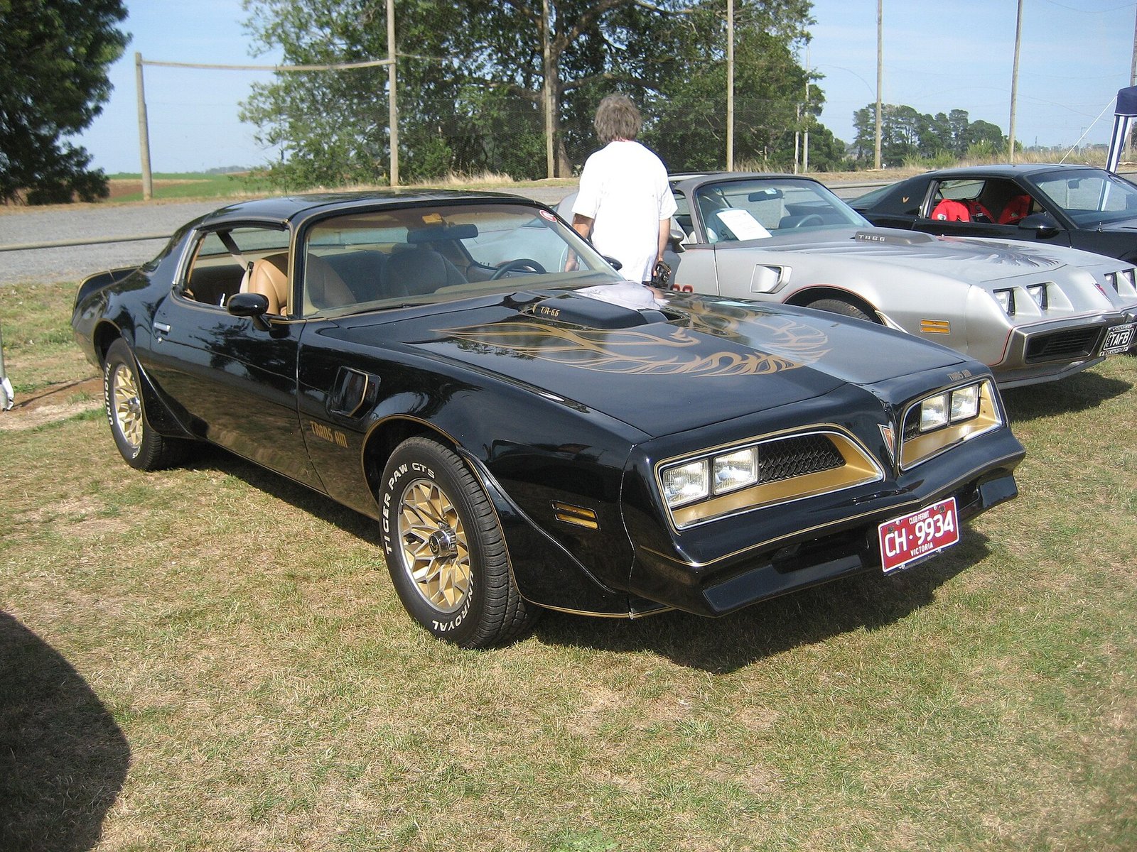 Pontiac Trans Am Special Edition nera e oro del 1977